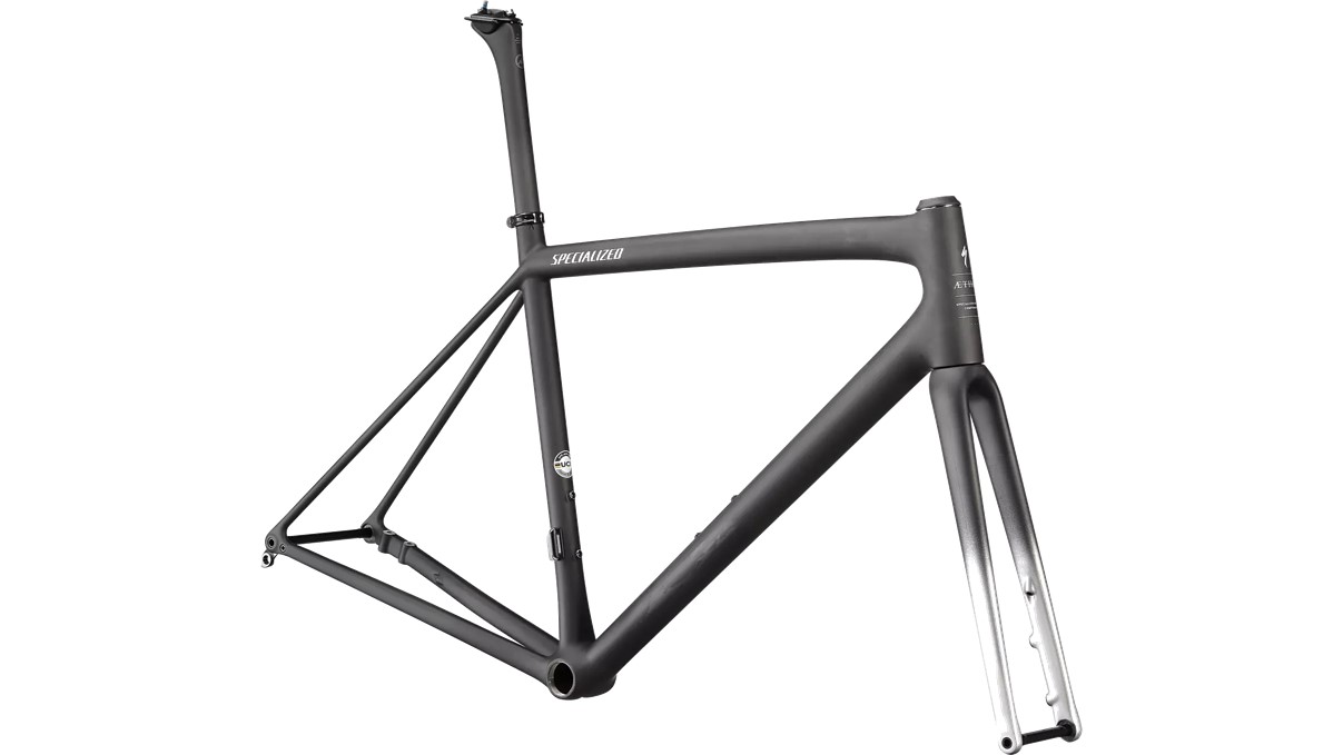 Specialized - Aethos Frameset 2022, Frontansicht in der Farbe Carbon / Satin Flake Silver